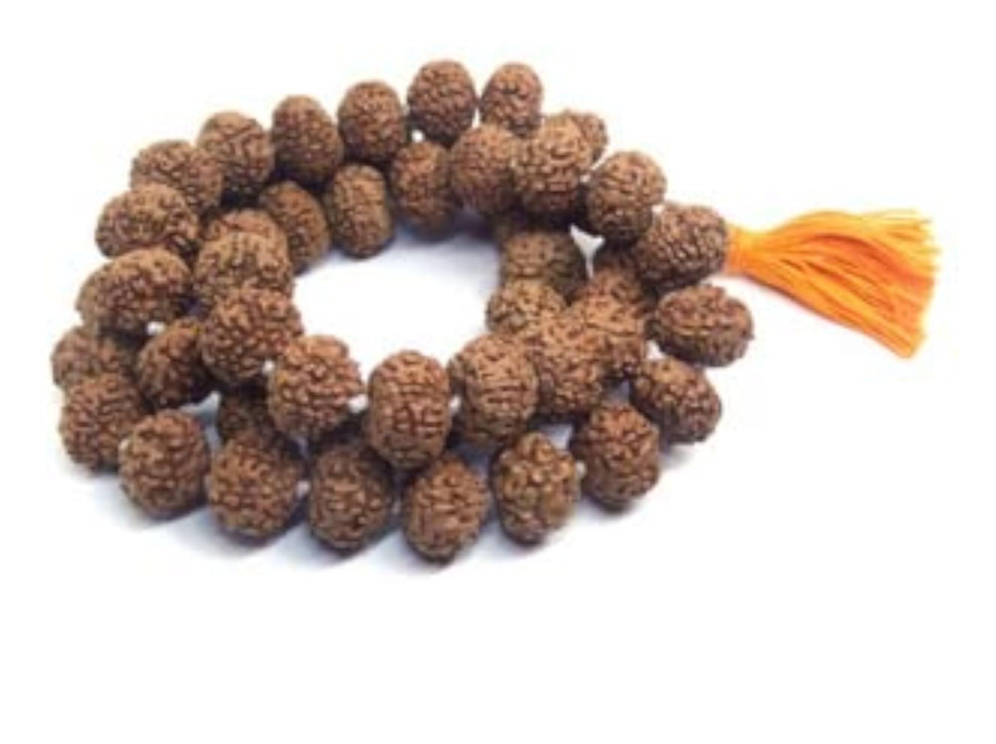 Rare Colour 7 Mukhi Mala from Nepal Certified
